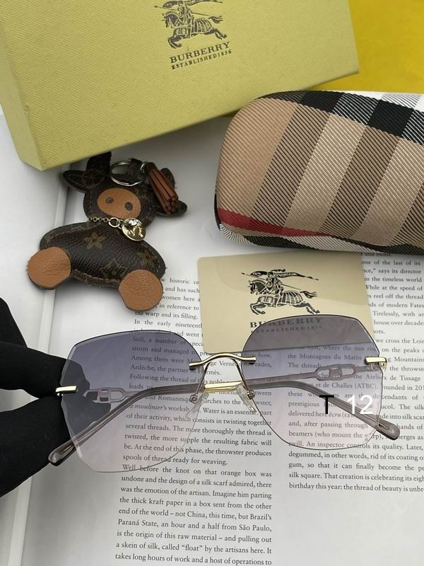 Burberry Sunglasses 383